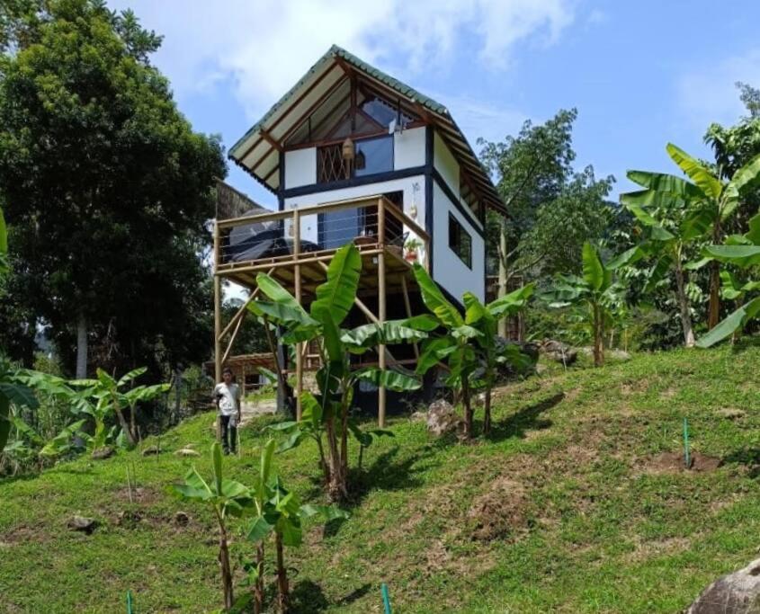 Cabaña Glamping San Carlos Antioquía Pun chinaw Ecocabañas
