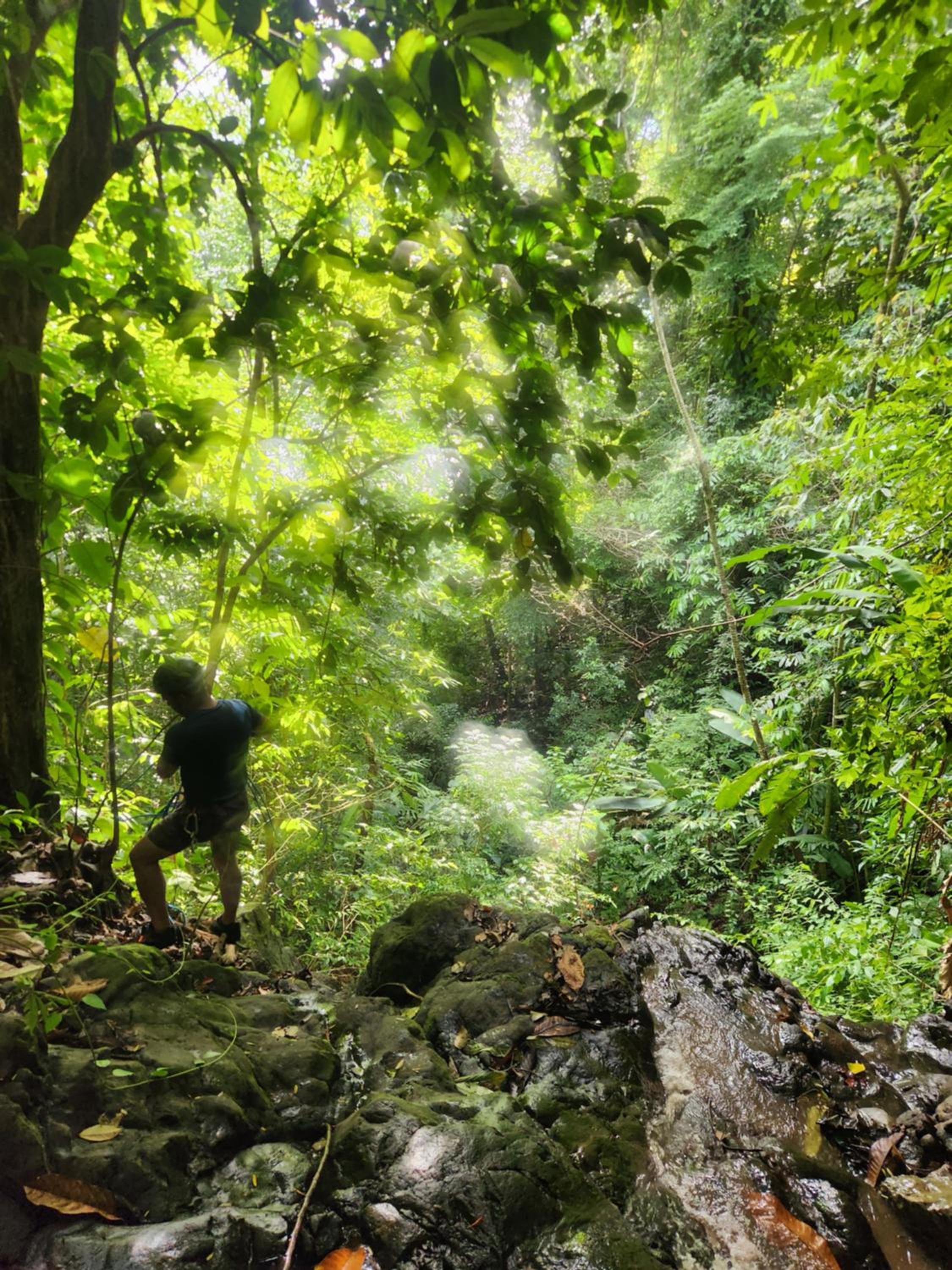 Ararat Eco Farm