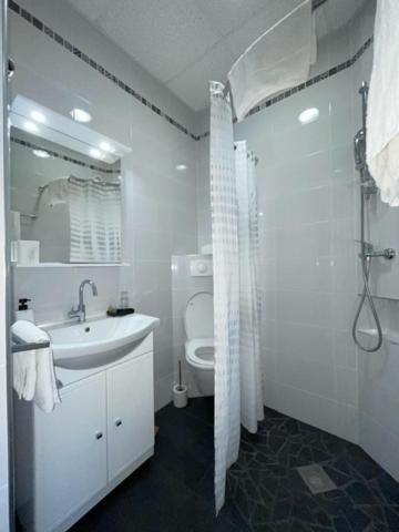 Saint-Etienne Vacations - Hotel Le National - Property Image 2