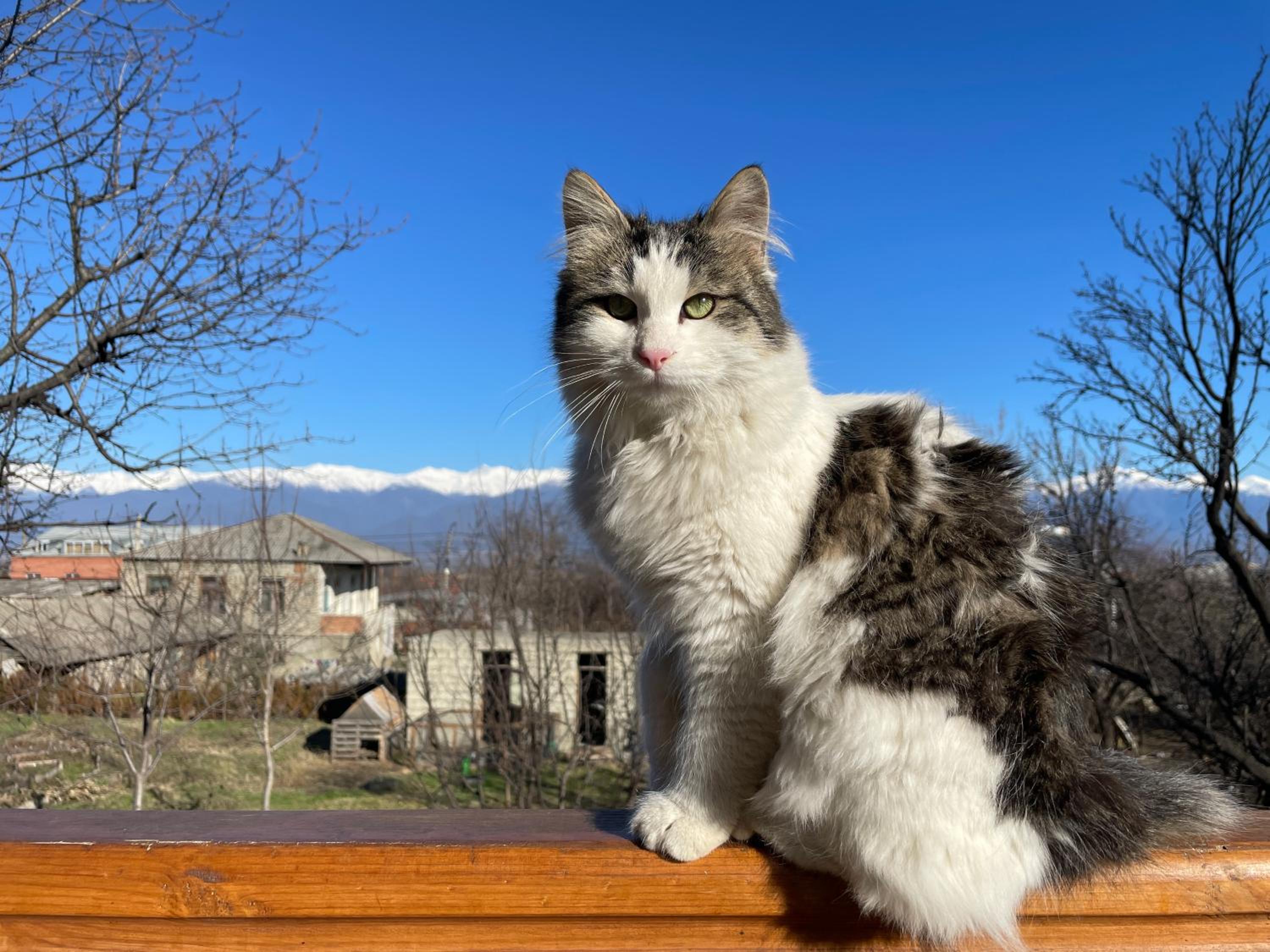 Friendly Home