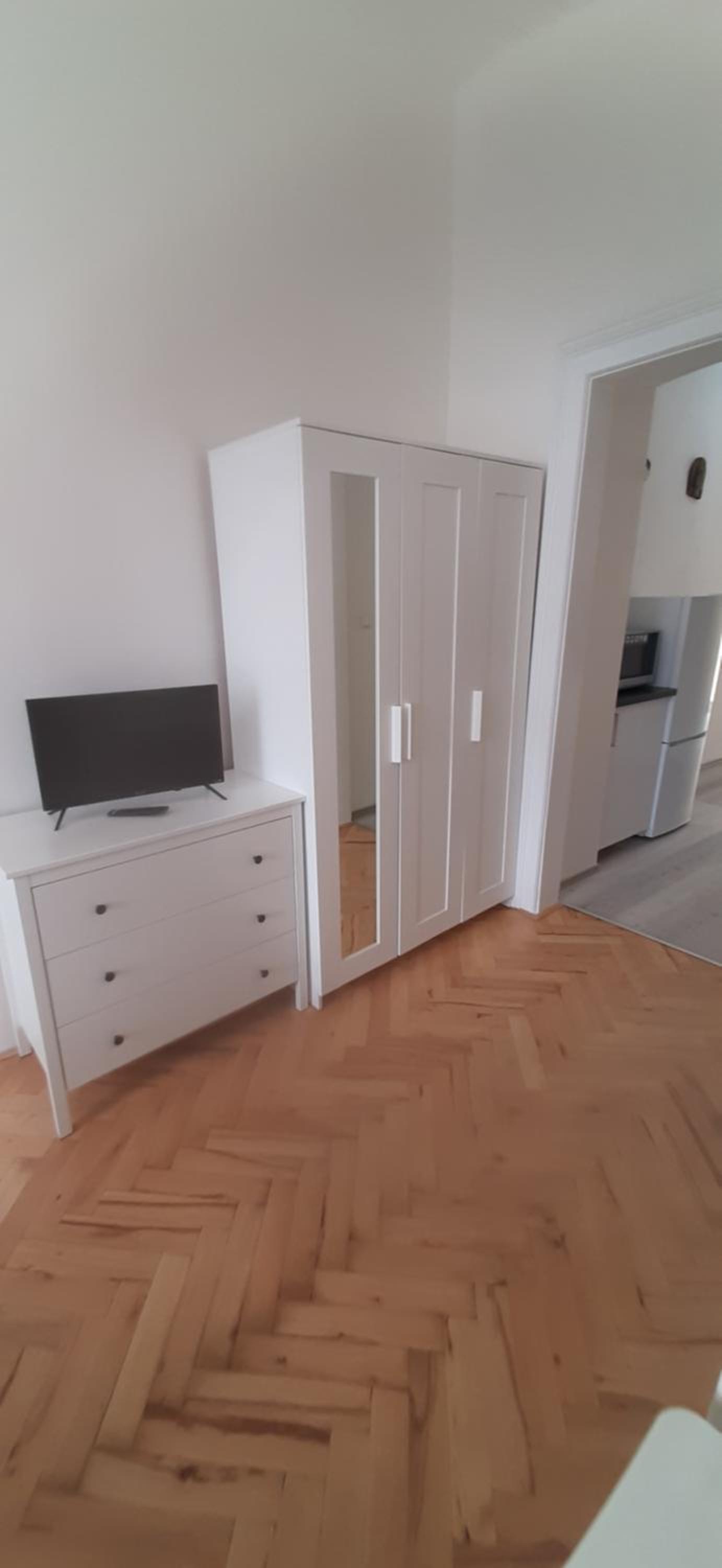 Small Sunny park view apartment