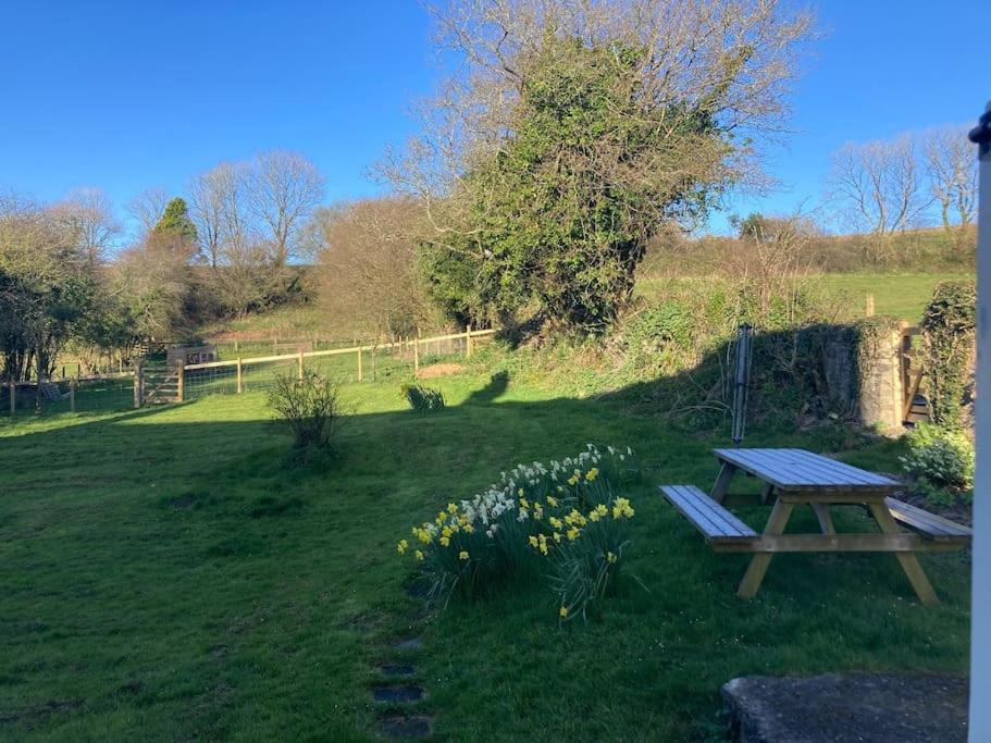 Courtyard Cottage - Grade II listed - Barnstaple view 2