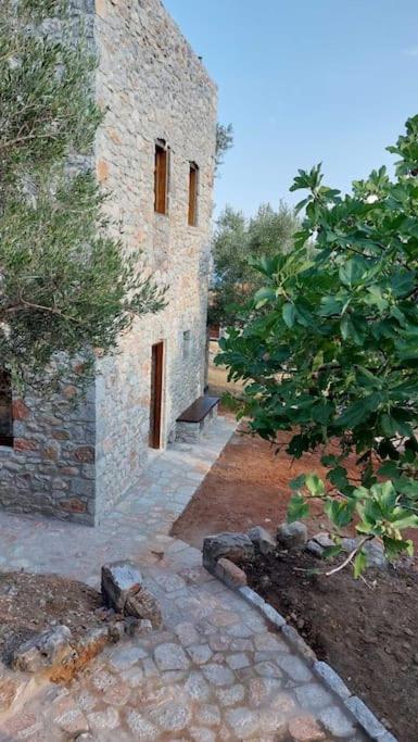 Casa Tsiliviani