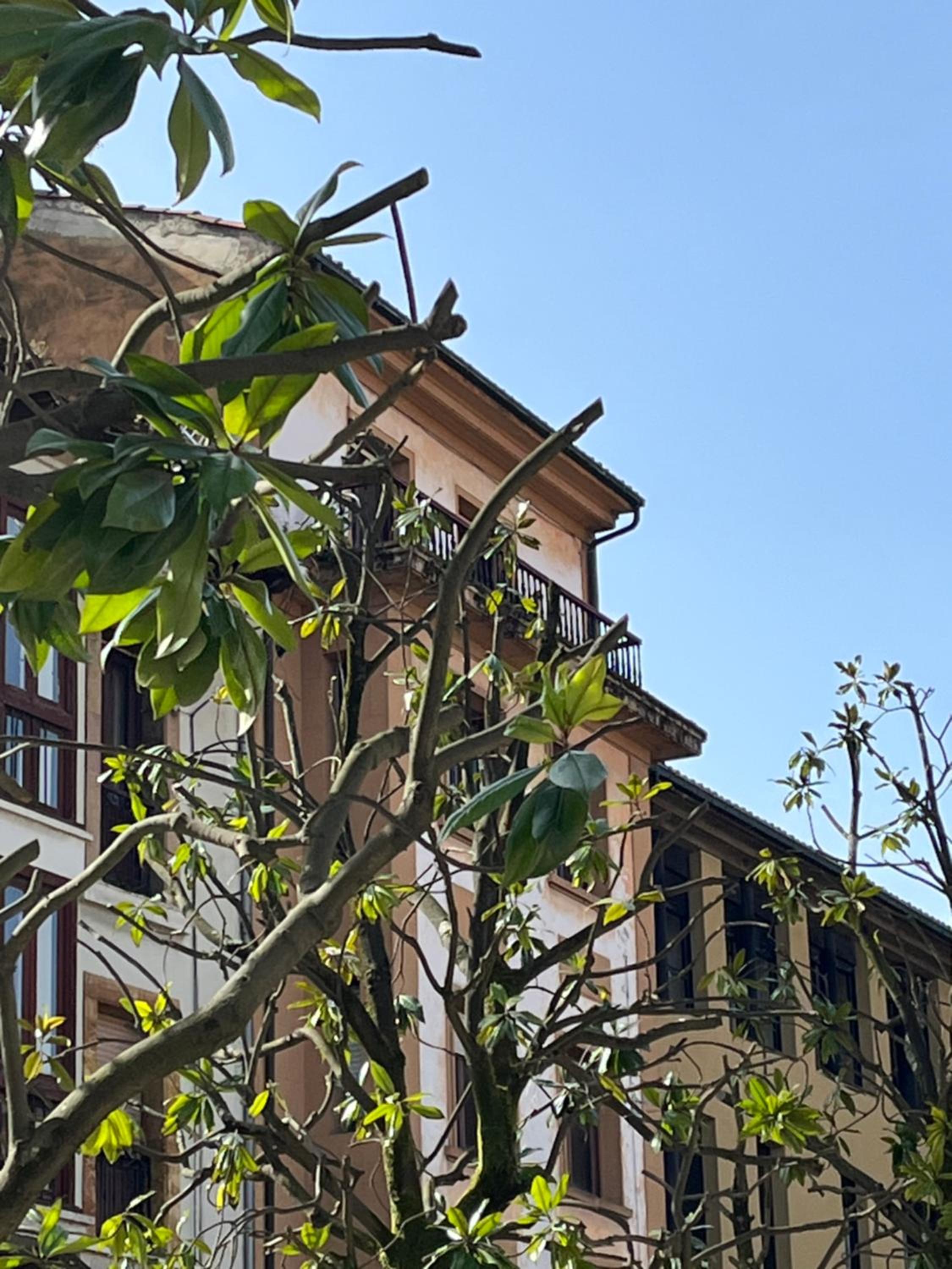 Apartamento Salsipuedes-La Catedral