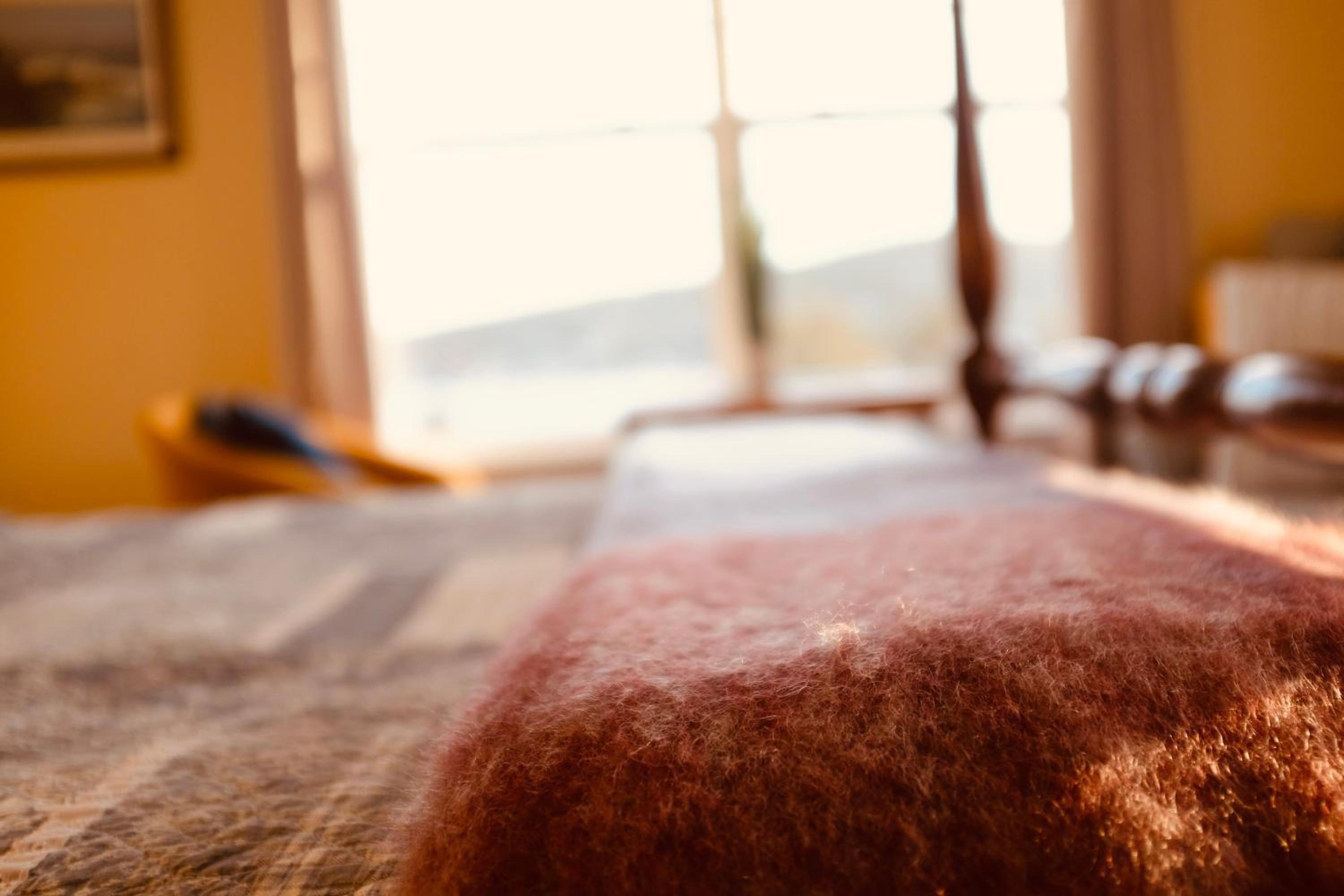 The Bread and Cheese Country Inn