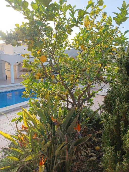 Photo 28