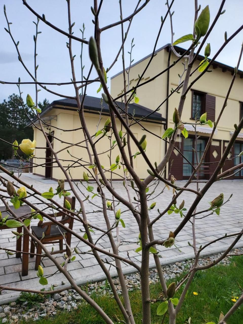 Villa Musik - apartments in historical Villa , Baden