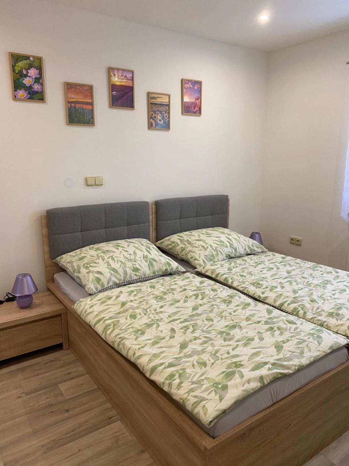 Slunný domek s terasou a zahradou
