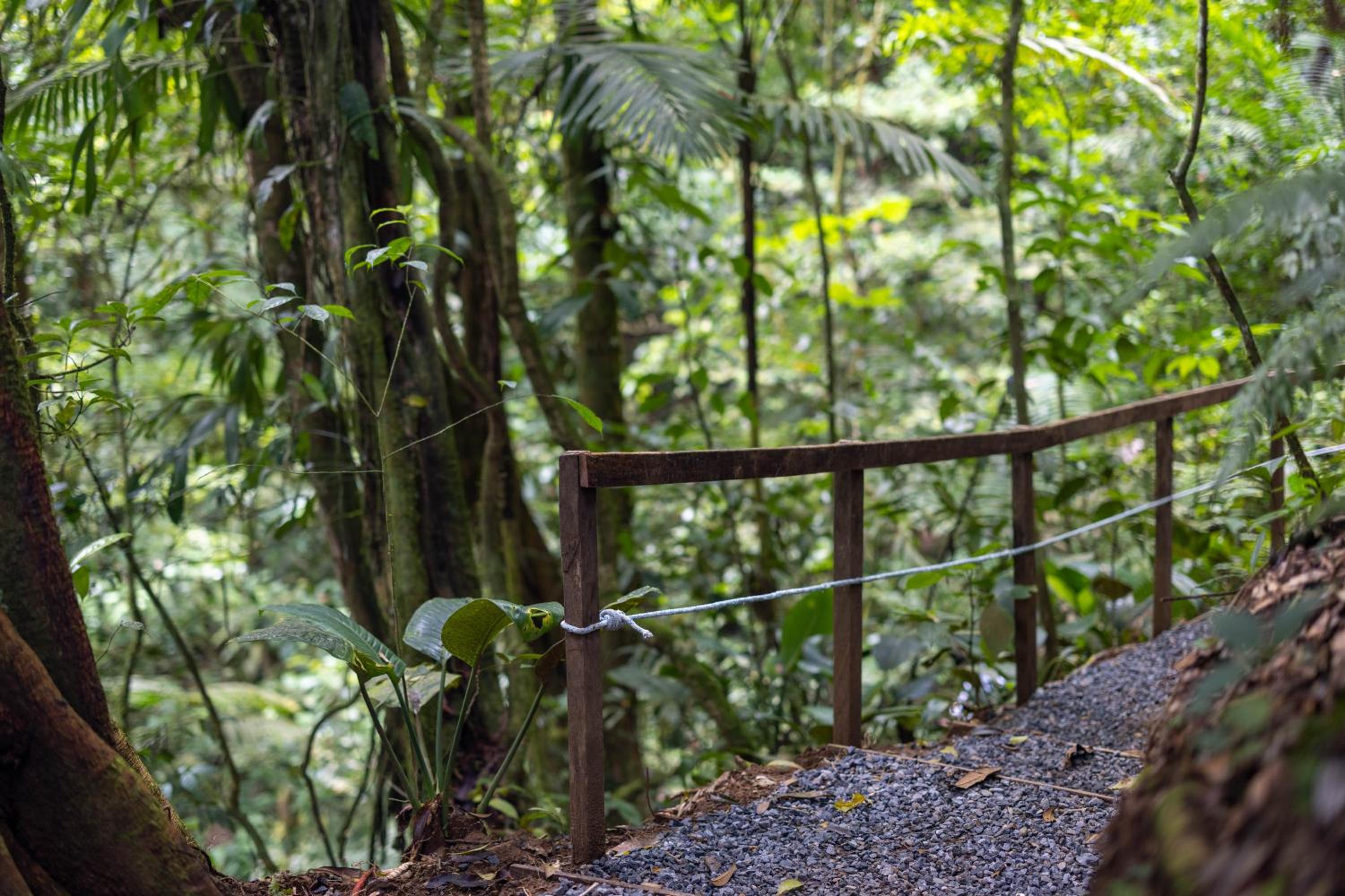 Cabañas Caeli, La Perezosa, La Fortuna Rainforest Glass Cabin w Amazing Views