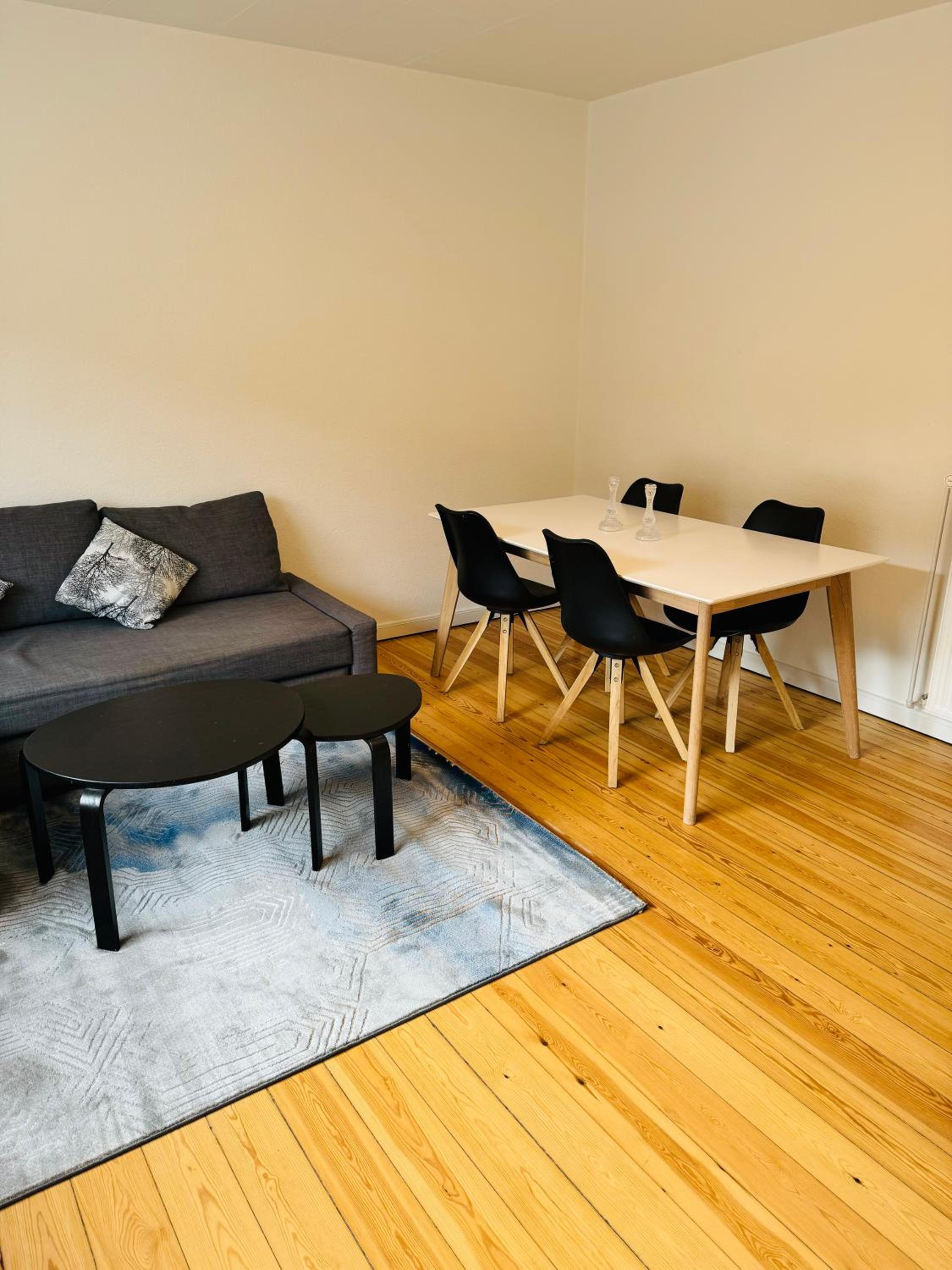 Cozy Apartment Aarhus C