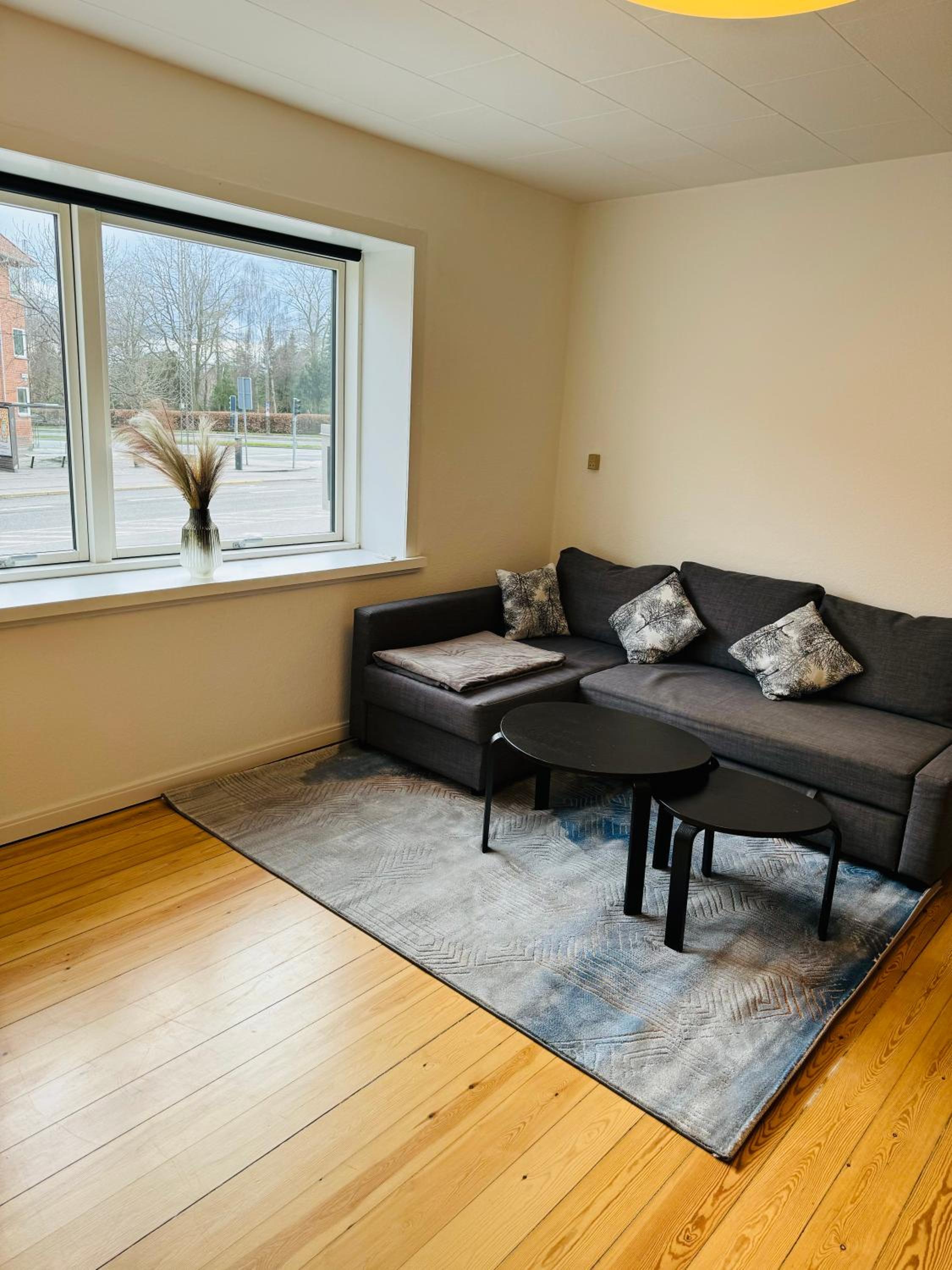 Cozy Apartment Aarhus C