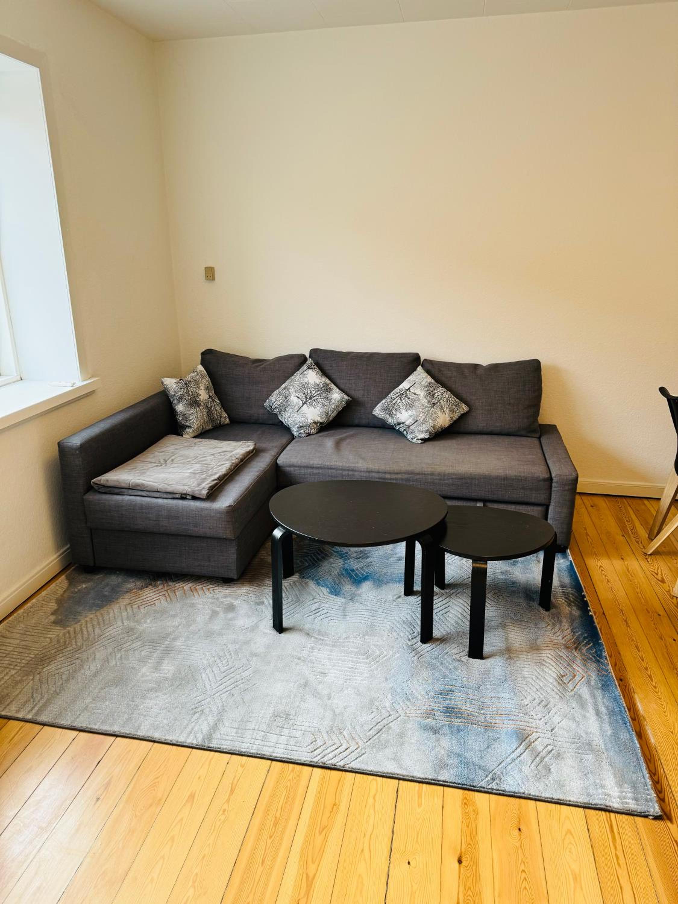 Cozy Apartment Aarhus C