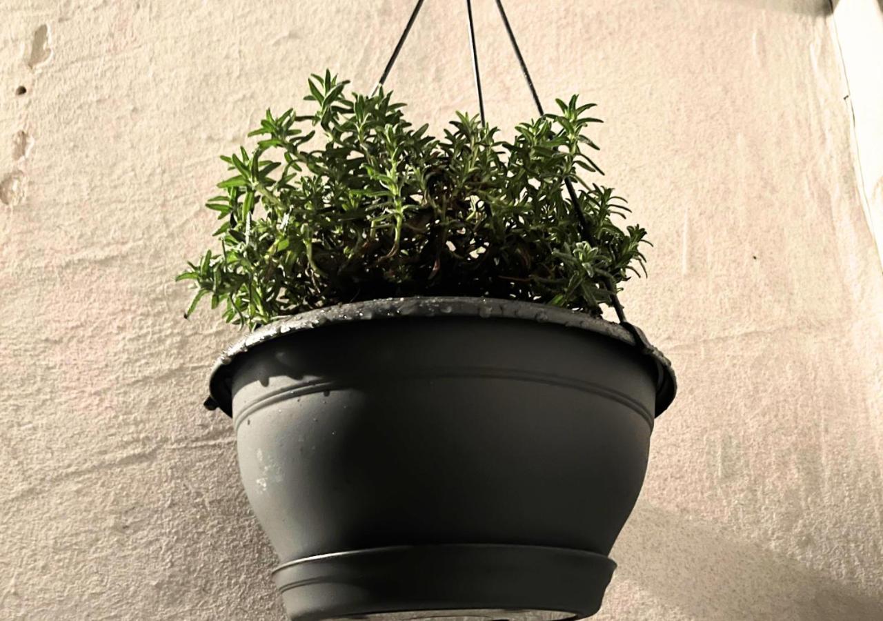Le Charme D'Antan - Terrasse - Balcon - Hypercentre Evreux