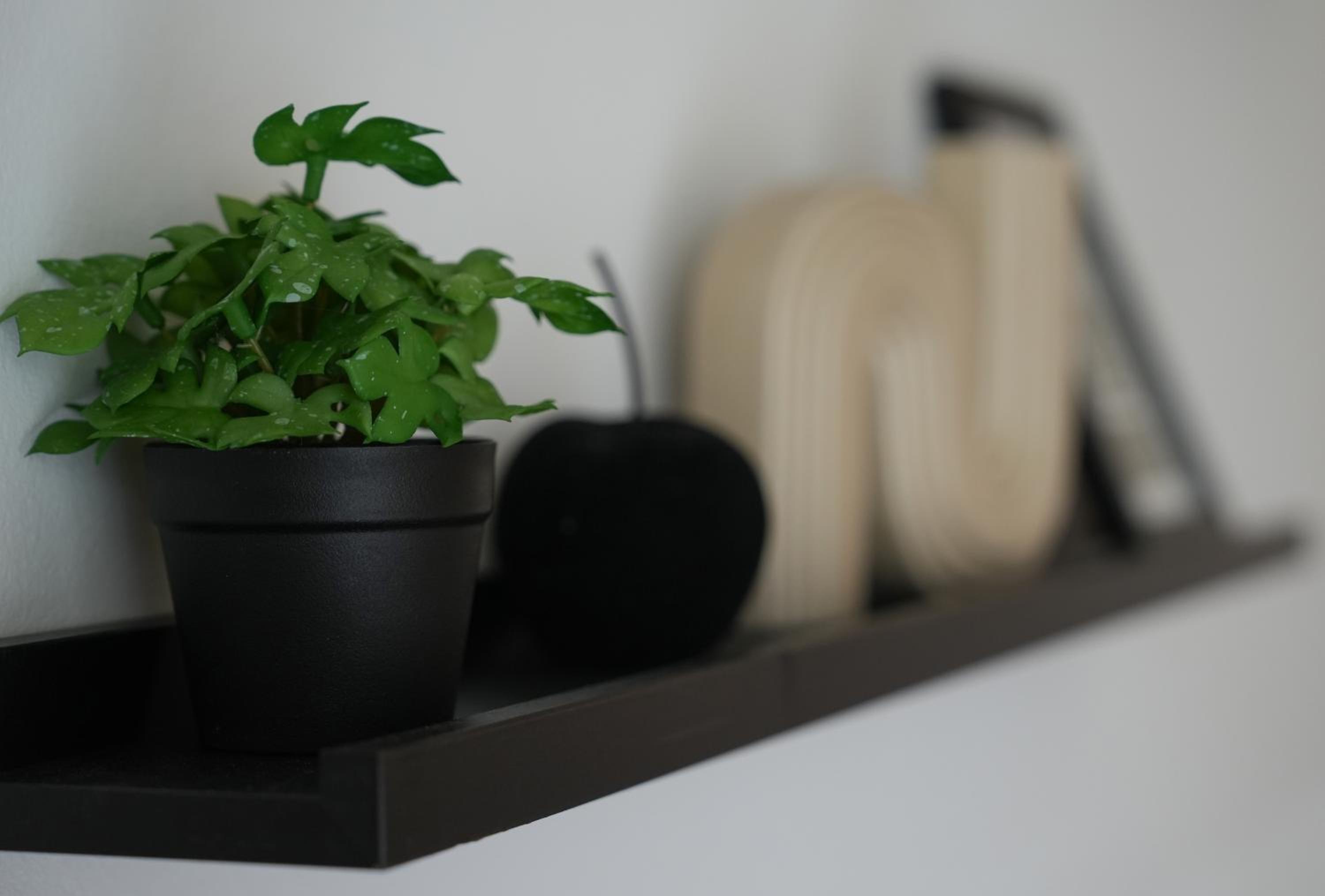 Apartma Pikabooth