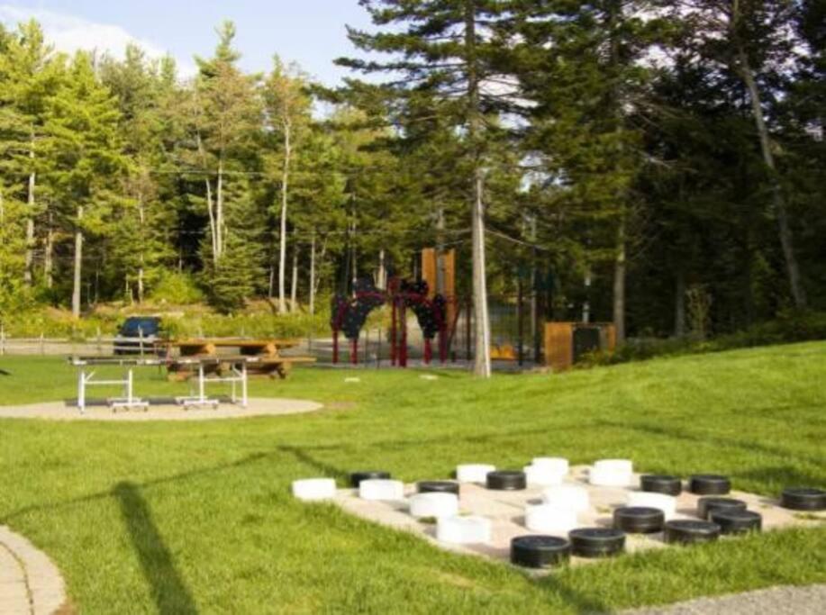Fiddler Lake Resort - Deer 59