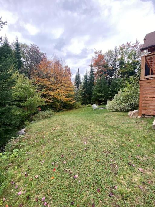Fiddler Lake Resort - Deer 59