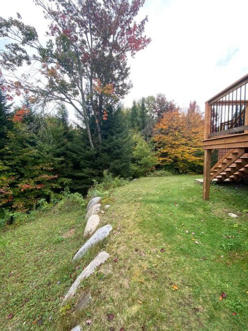 Fiddler Lake Resort - Deer 59