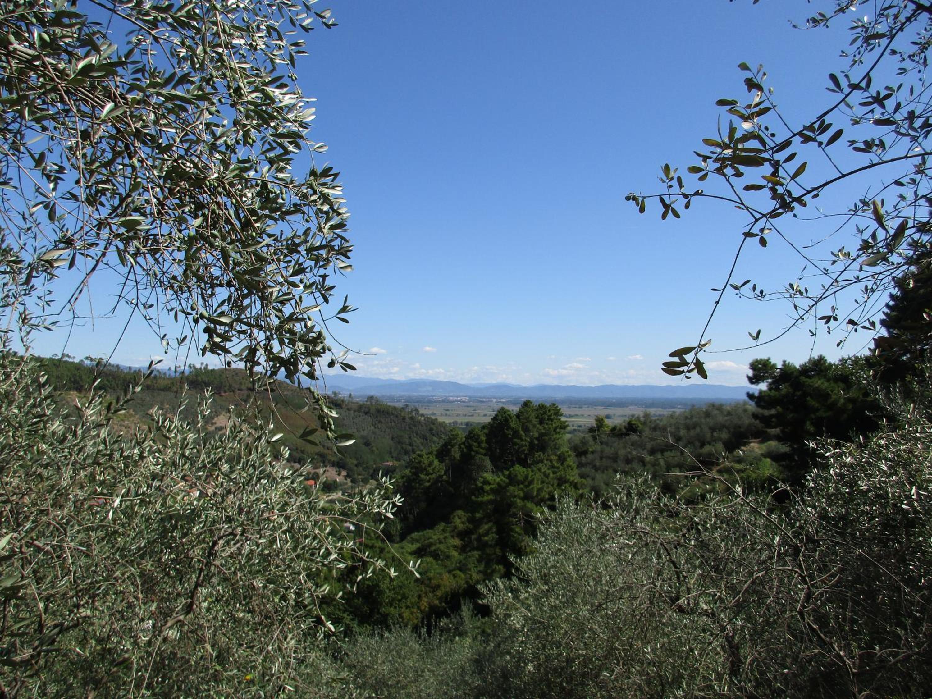 Casa Melograno view 4
