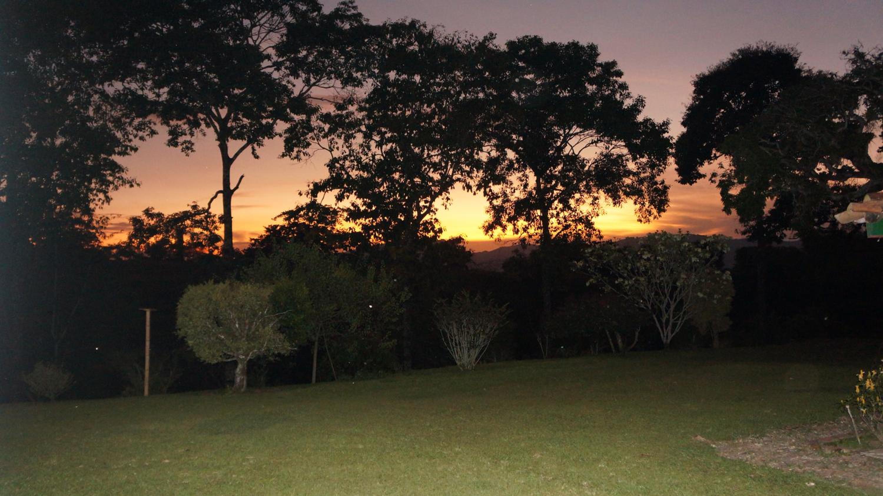 Finca Cafetera en Quimbaya El Portal