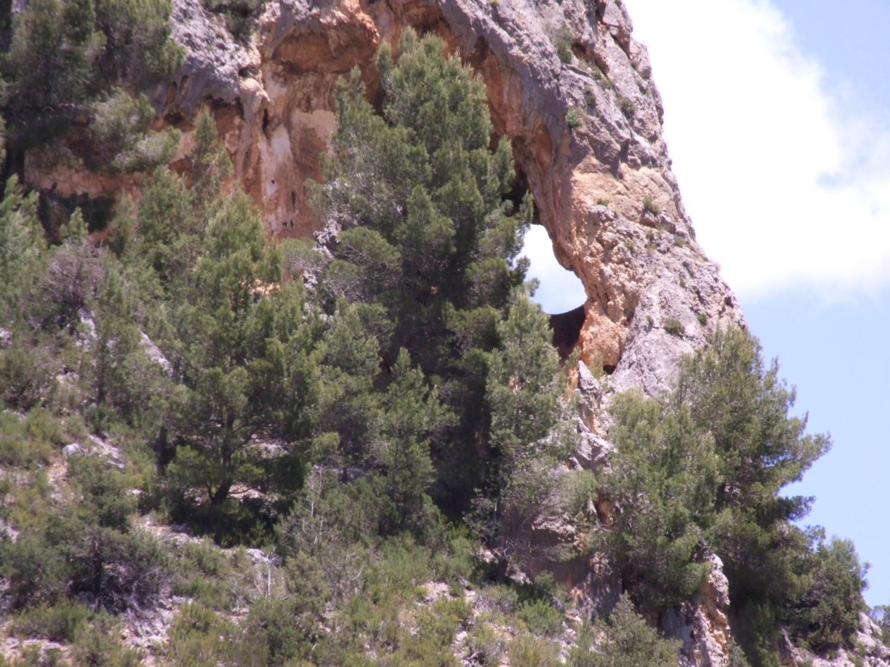 Photo 18