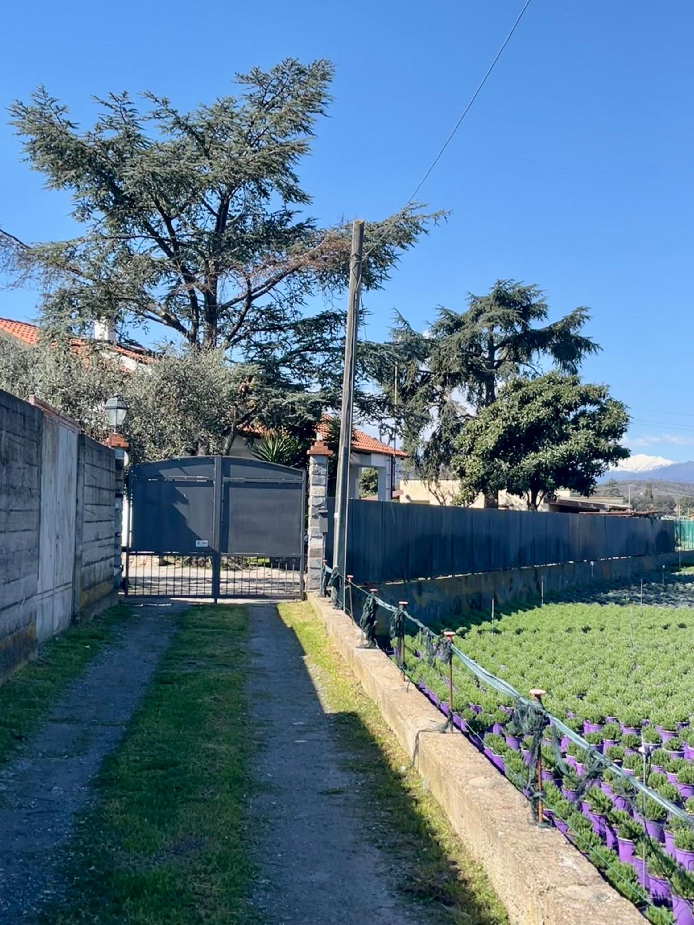 Villa Giulia