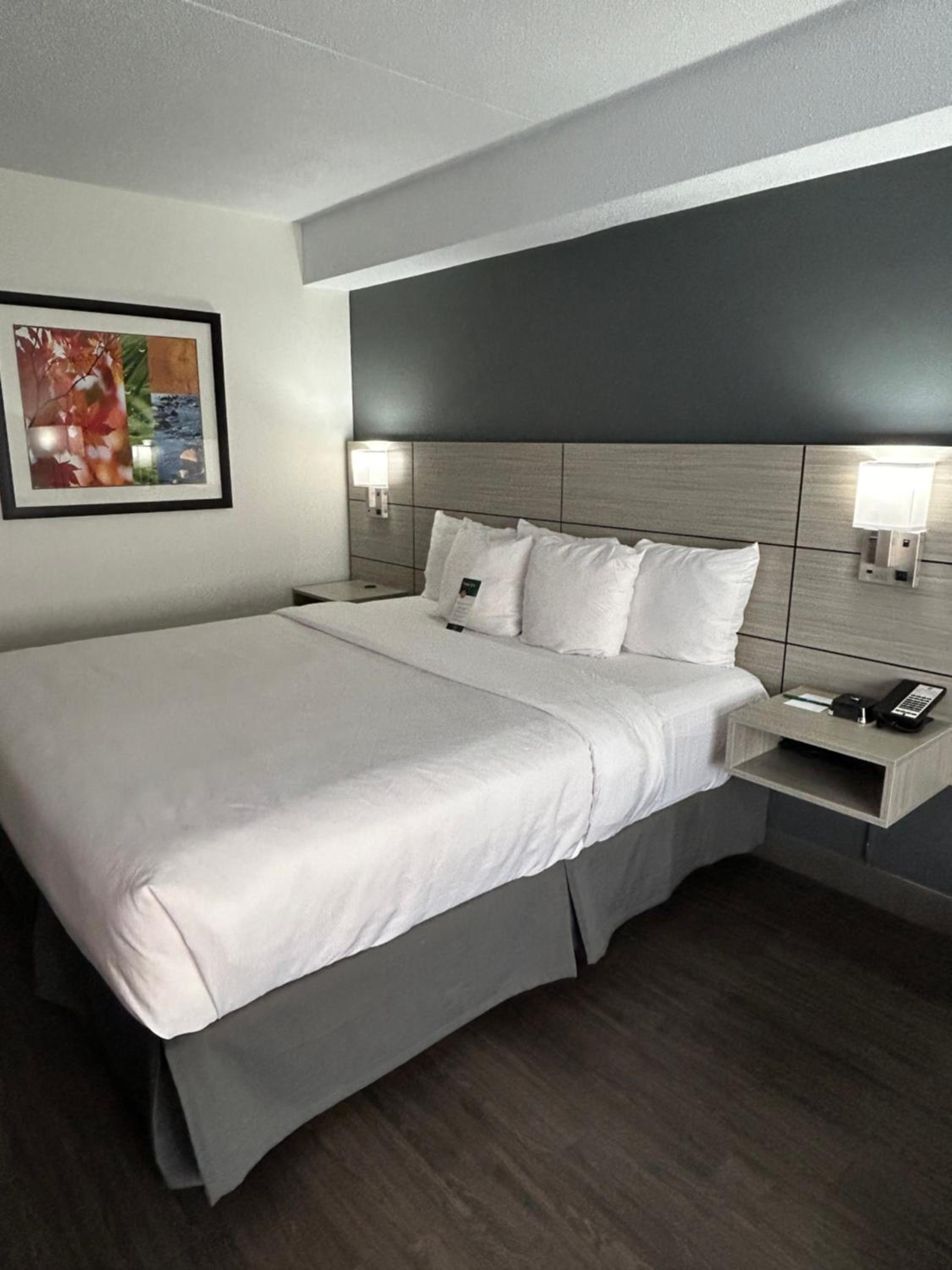 Quality Inn, photo 33