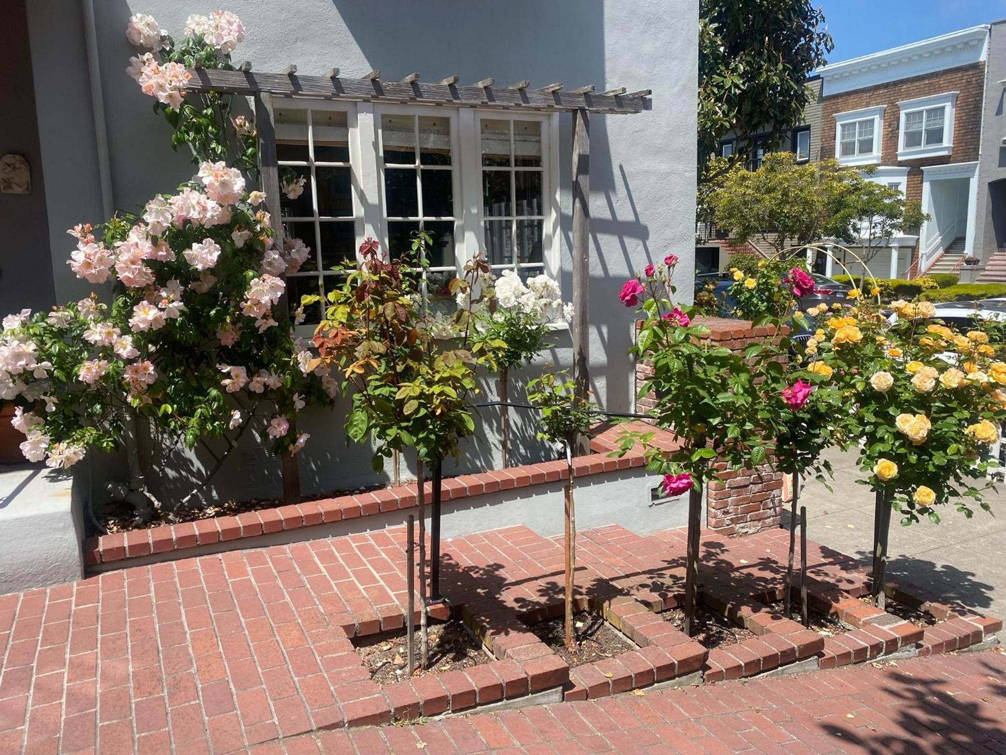 My Rosegarden Guest Rooms photo 3