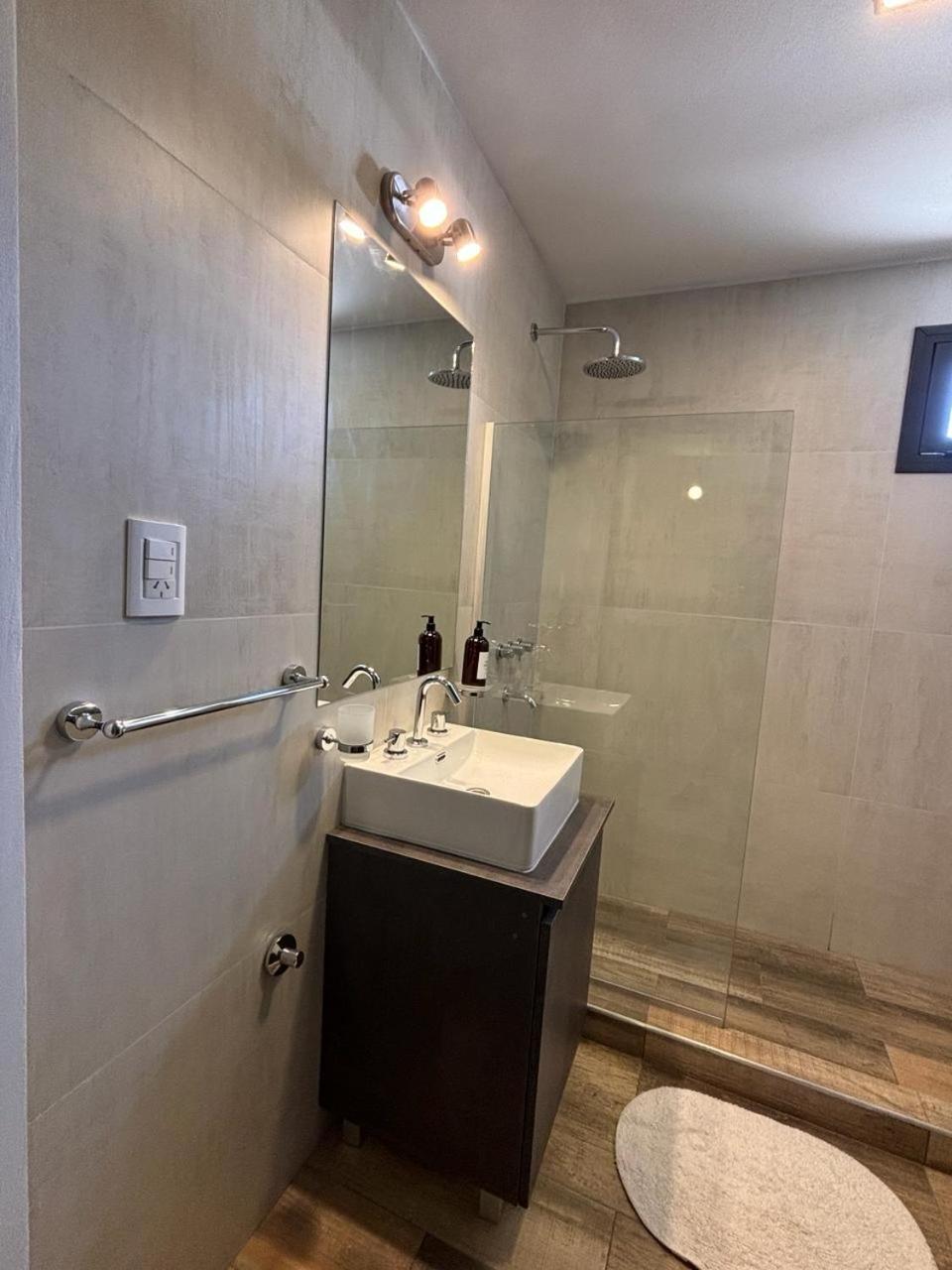 HERMOSO DEPARTAMENTO EN MENDOZA