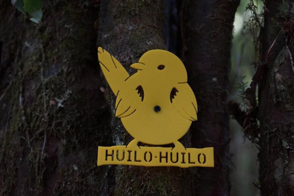 El Refugio de Hadas y Elfos