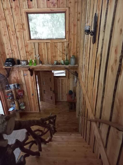 El Refugio de Hadas y Elfos