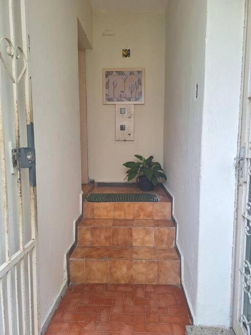 Apartamento Progresso
