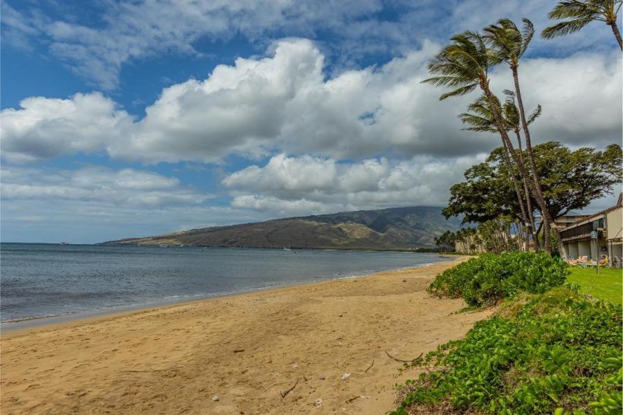 Maalaea Surf #G-2