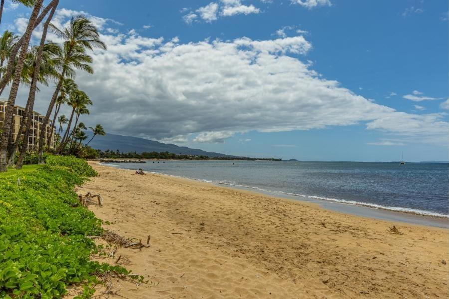 Maalaea Surf #G-2