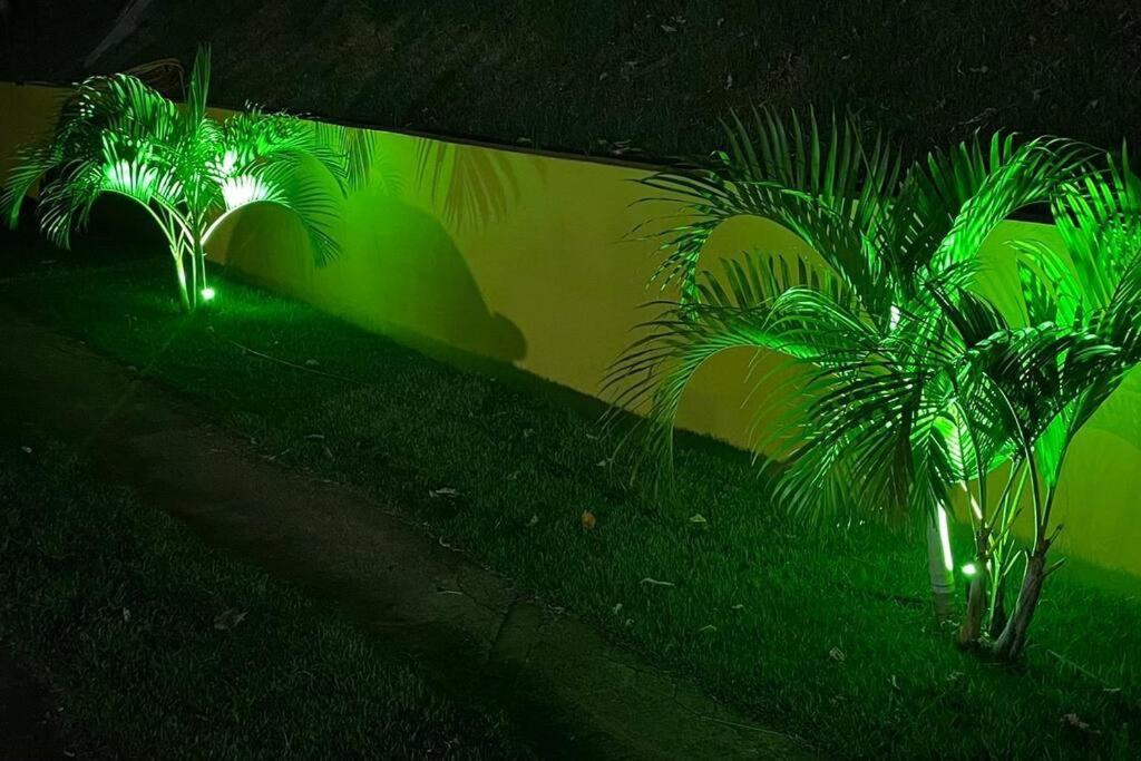 Meu Pequeno Paraíso