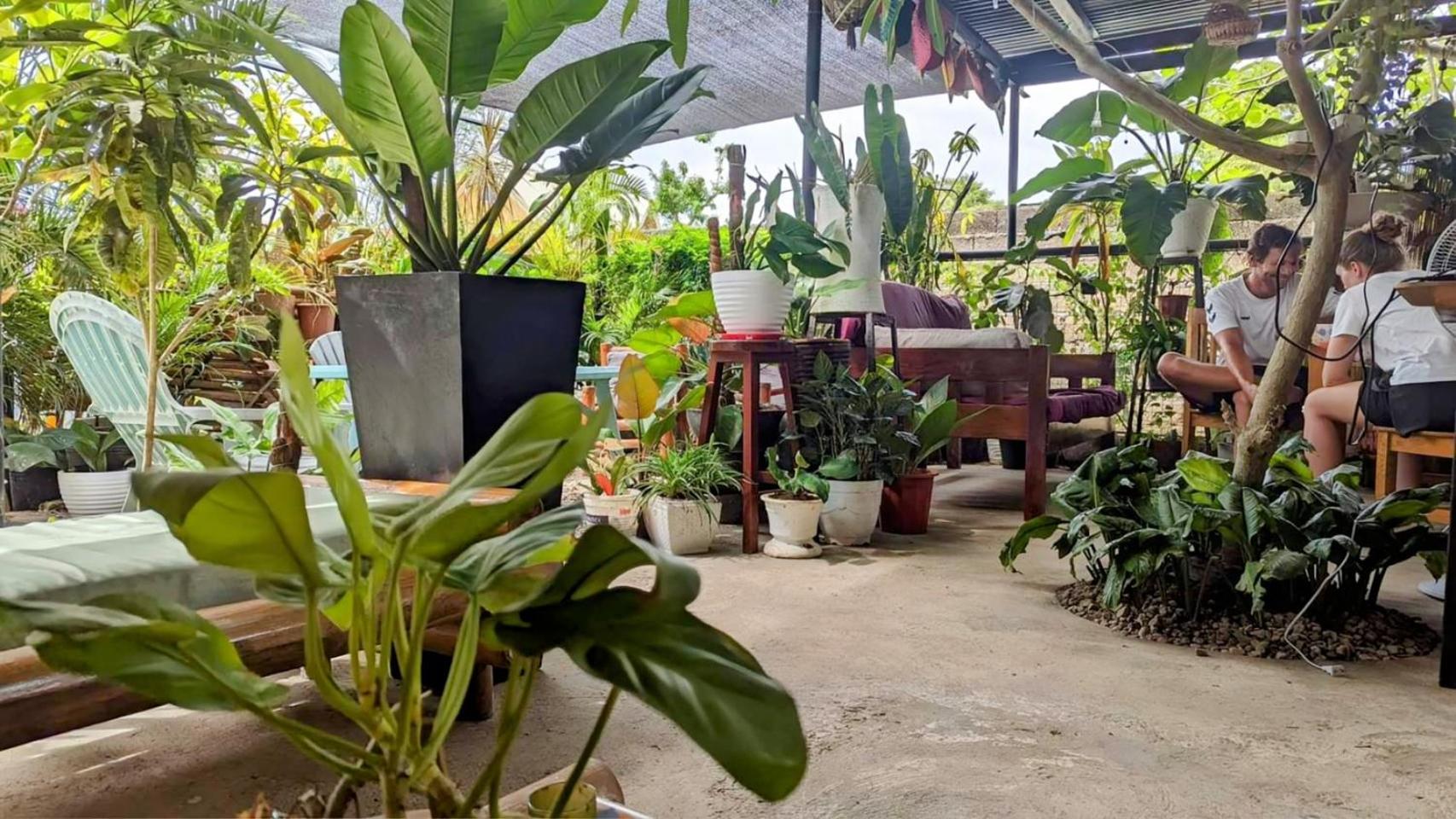 UNK'S HOUSE HOMESTAY view 2