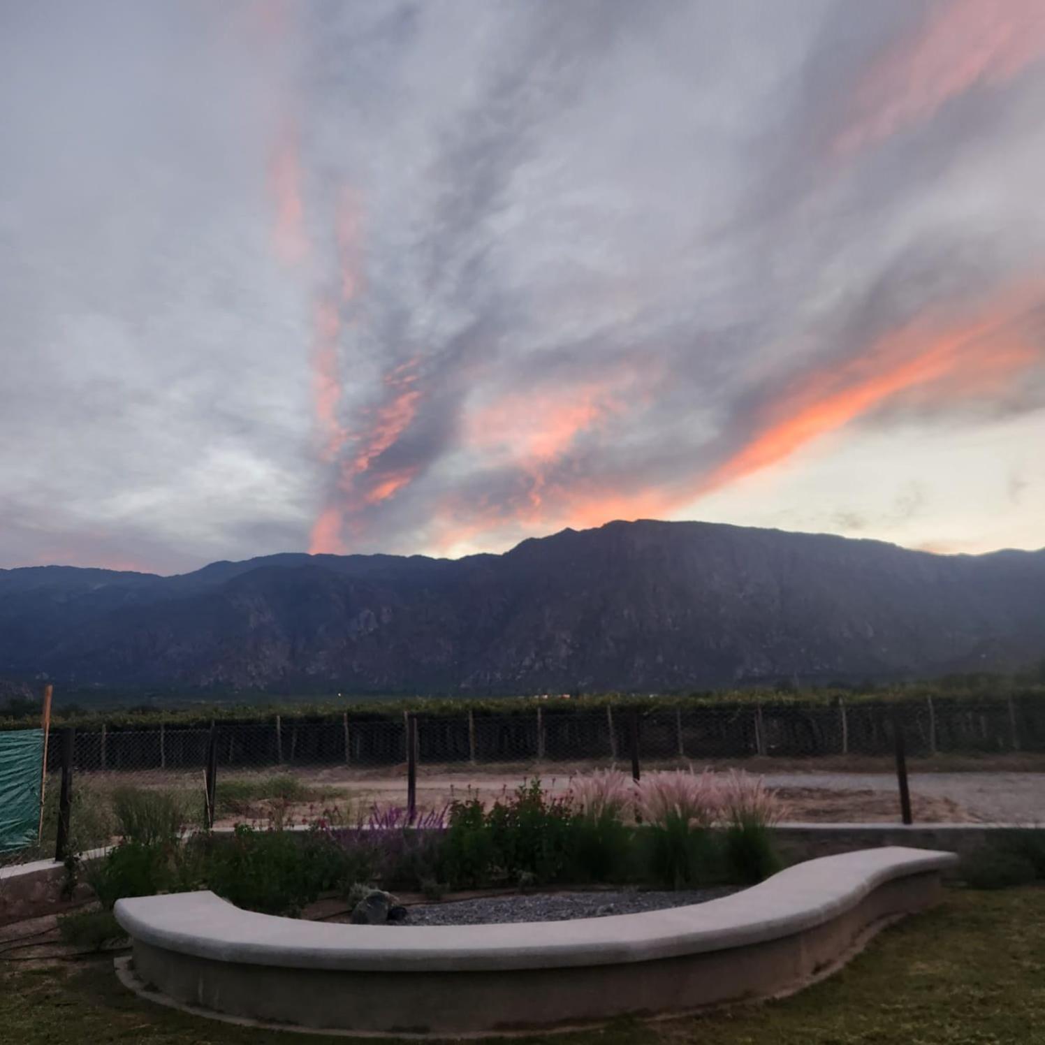 Suit Chalet Cafayate Salta