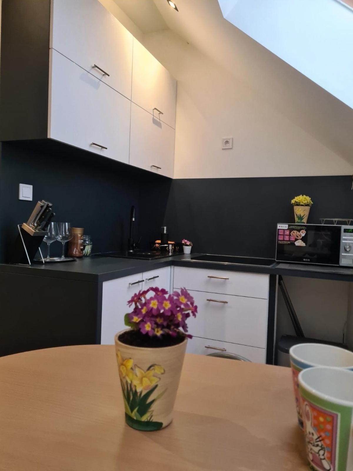 APARTMENT ZVONÁRSKA with FREE PARKING view 3