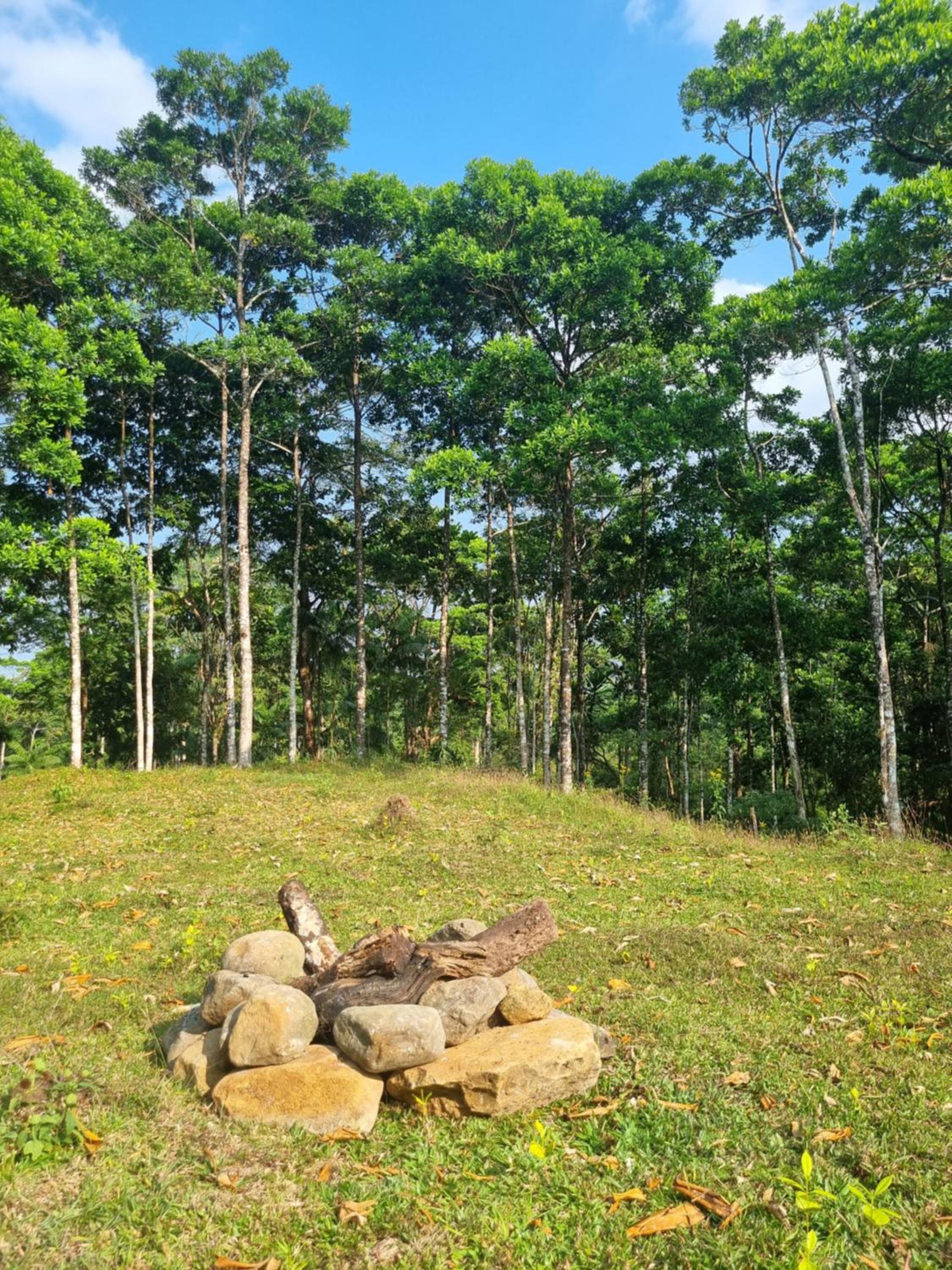 Quinta la Inesperada