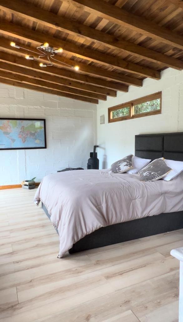 Nativo House