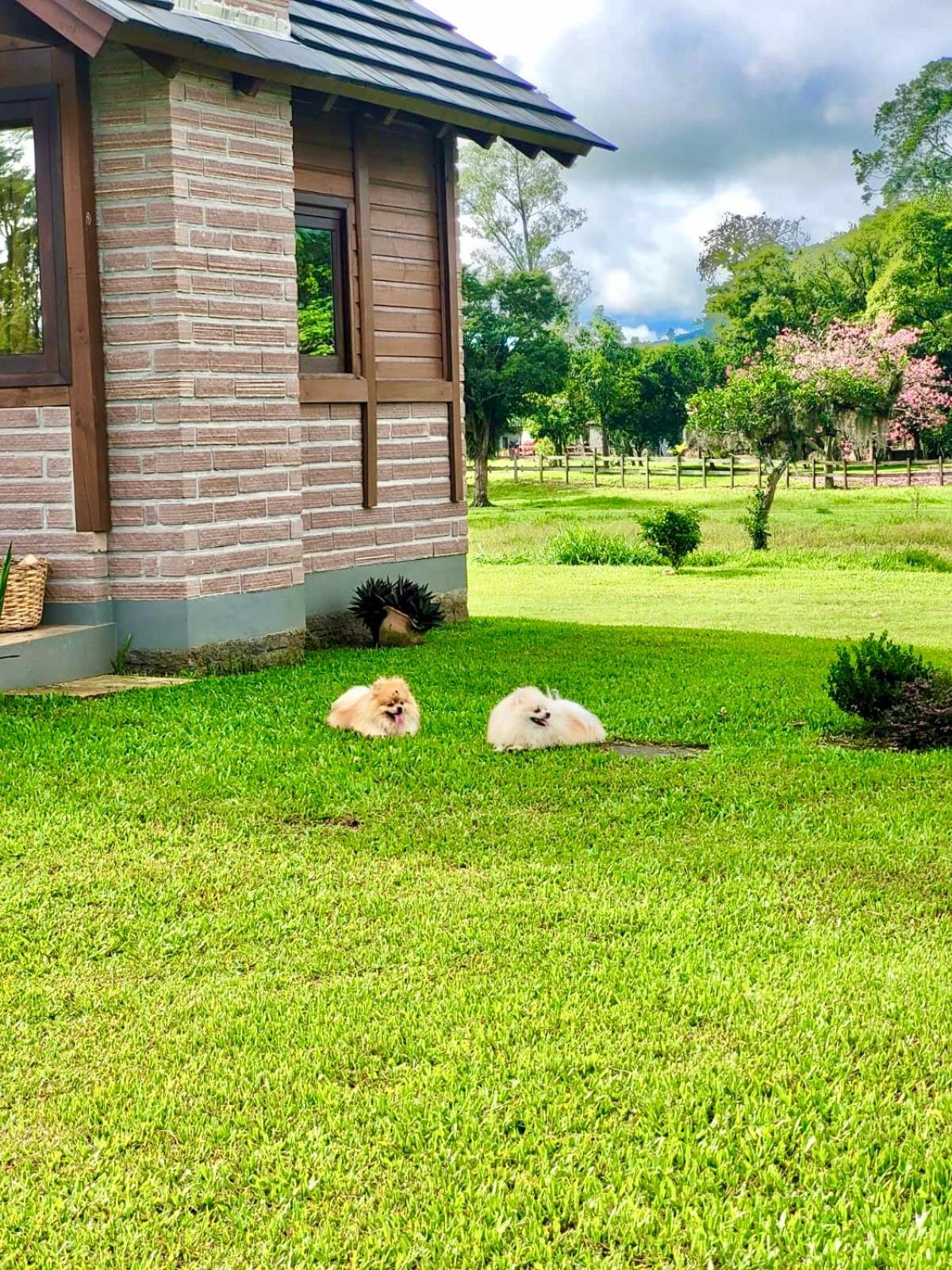 Cabanas Vale Verde