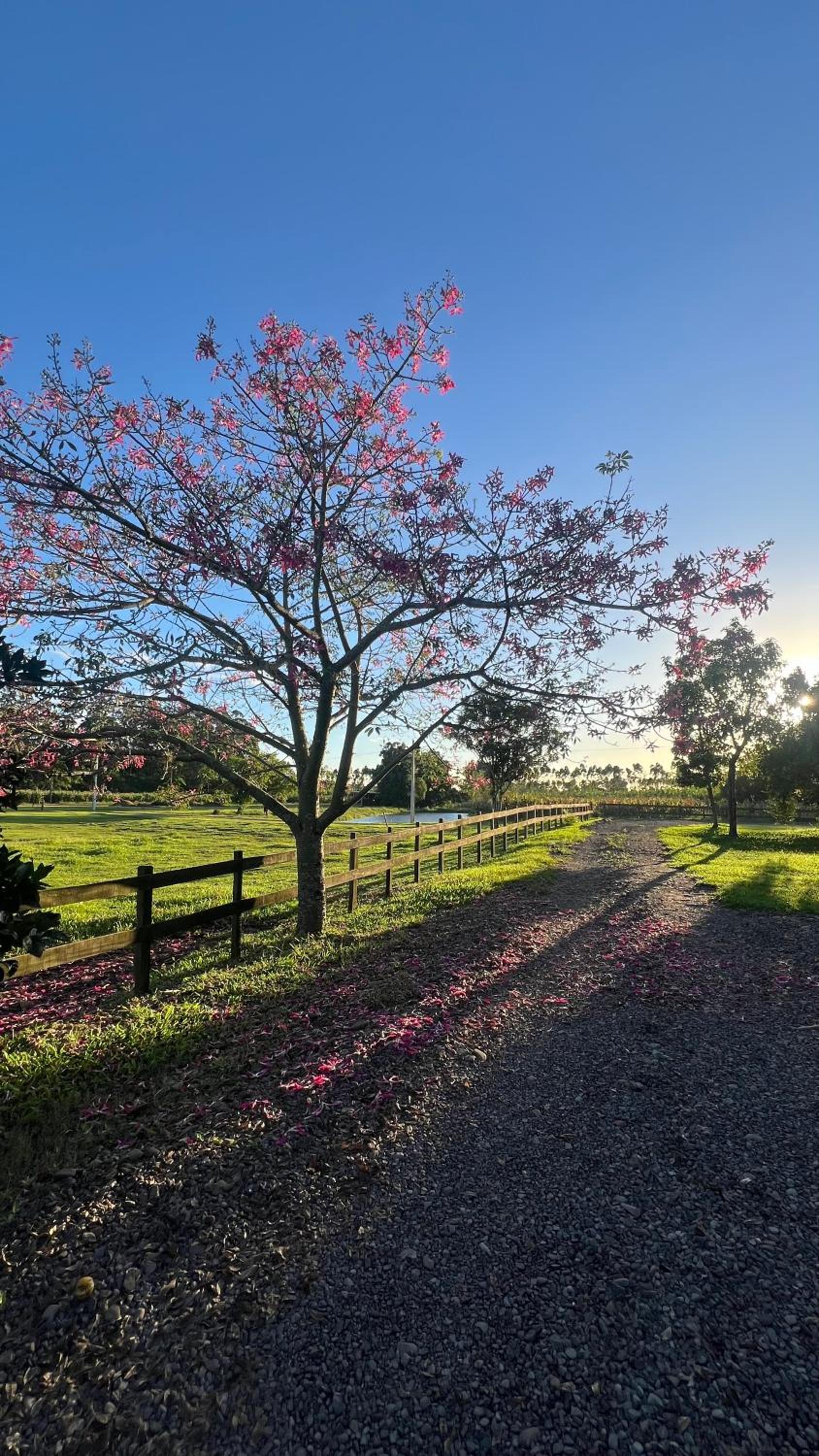 Cabanas Vale Verde