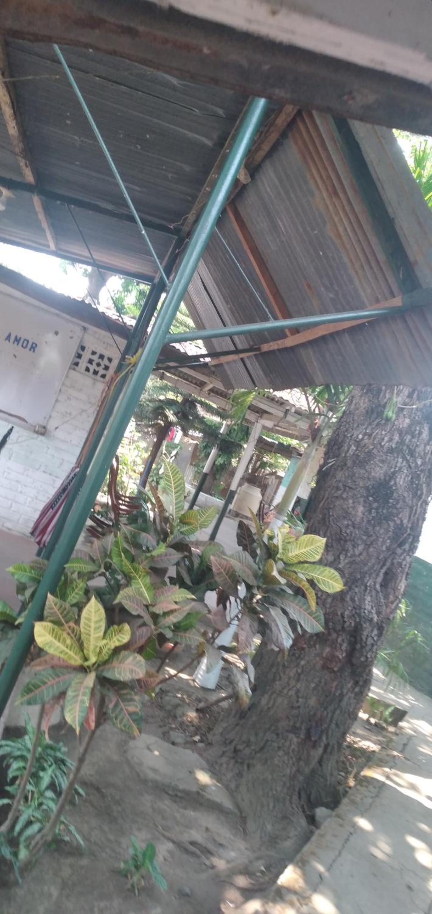 Ortiz Hospedaje Ometepe view 2