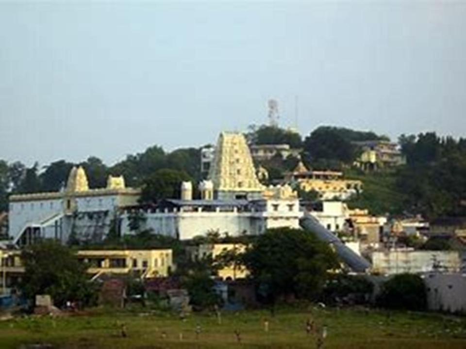 Kodali Homestays