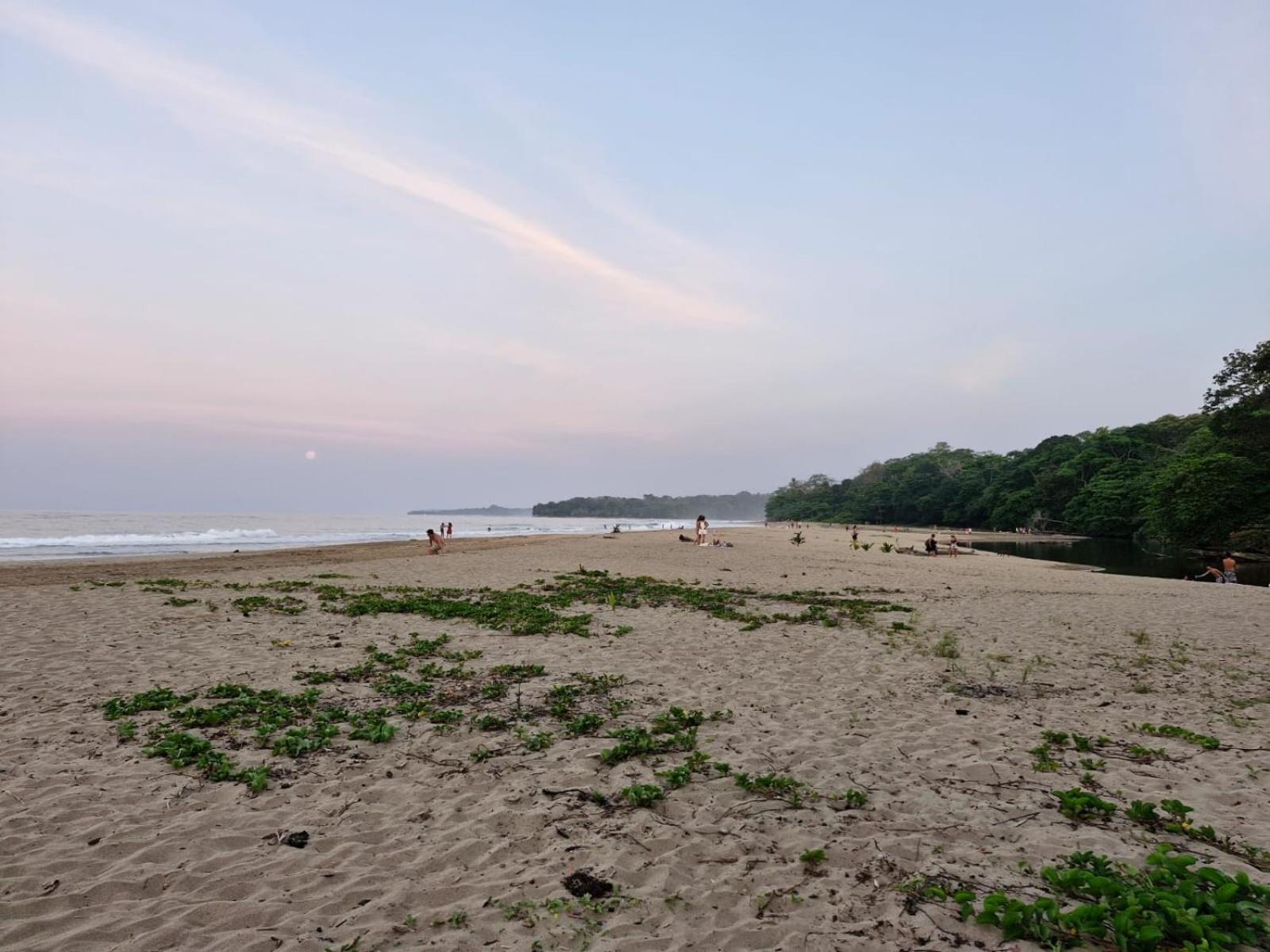 Secret Paradise