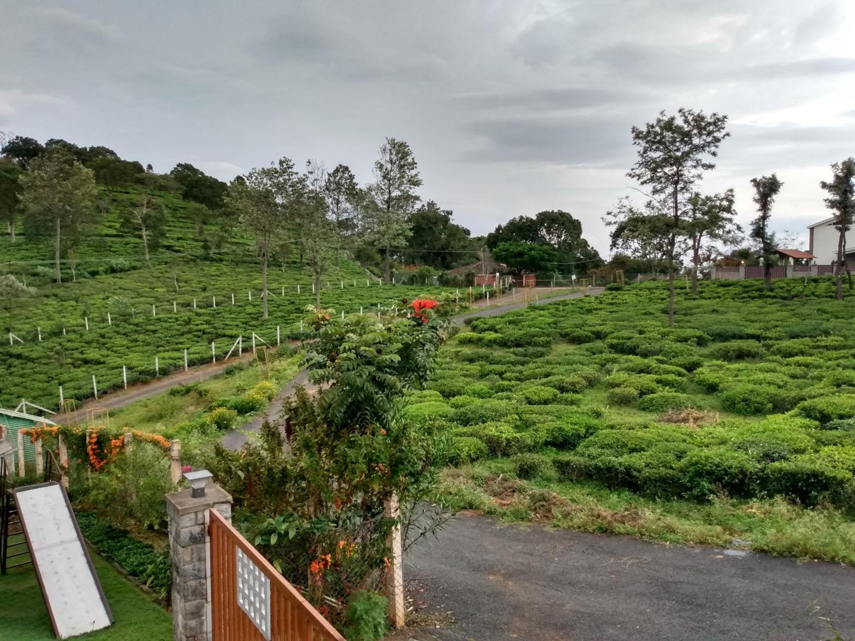 Green Home