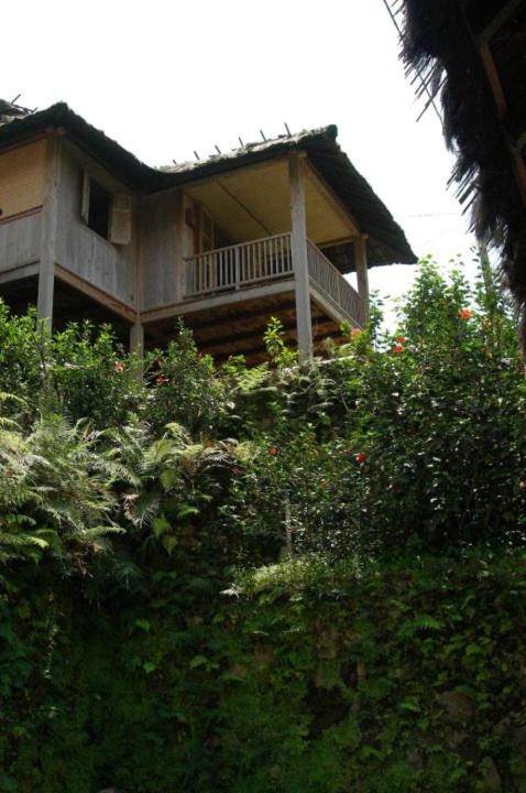 Baleluhur Villa Ciwidey view 2