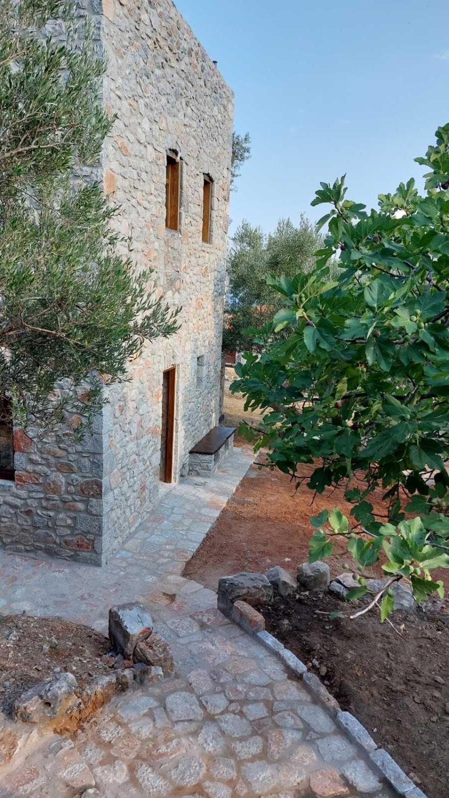 Studio Tsiliviani
