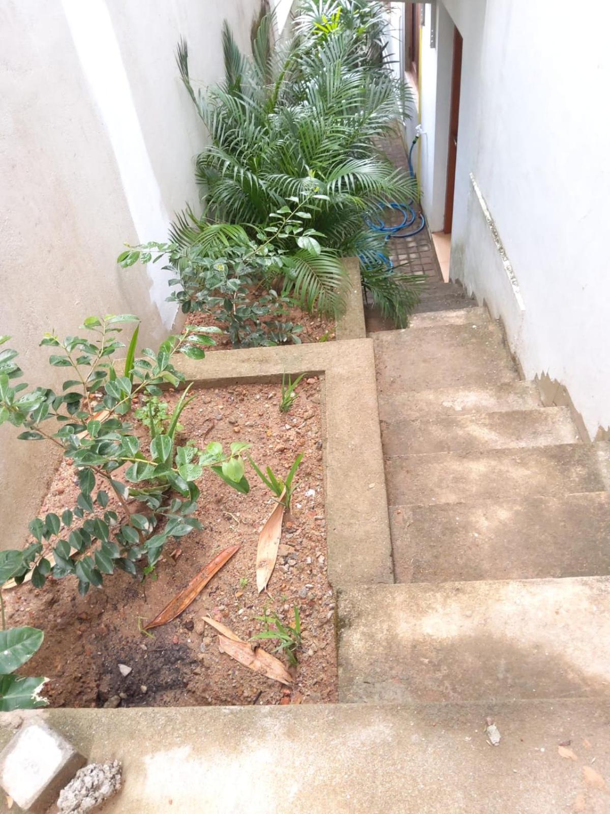 Red Rocks Studio - Comfortable and serene cottage surrounded with palms and tamarind tree