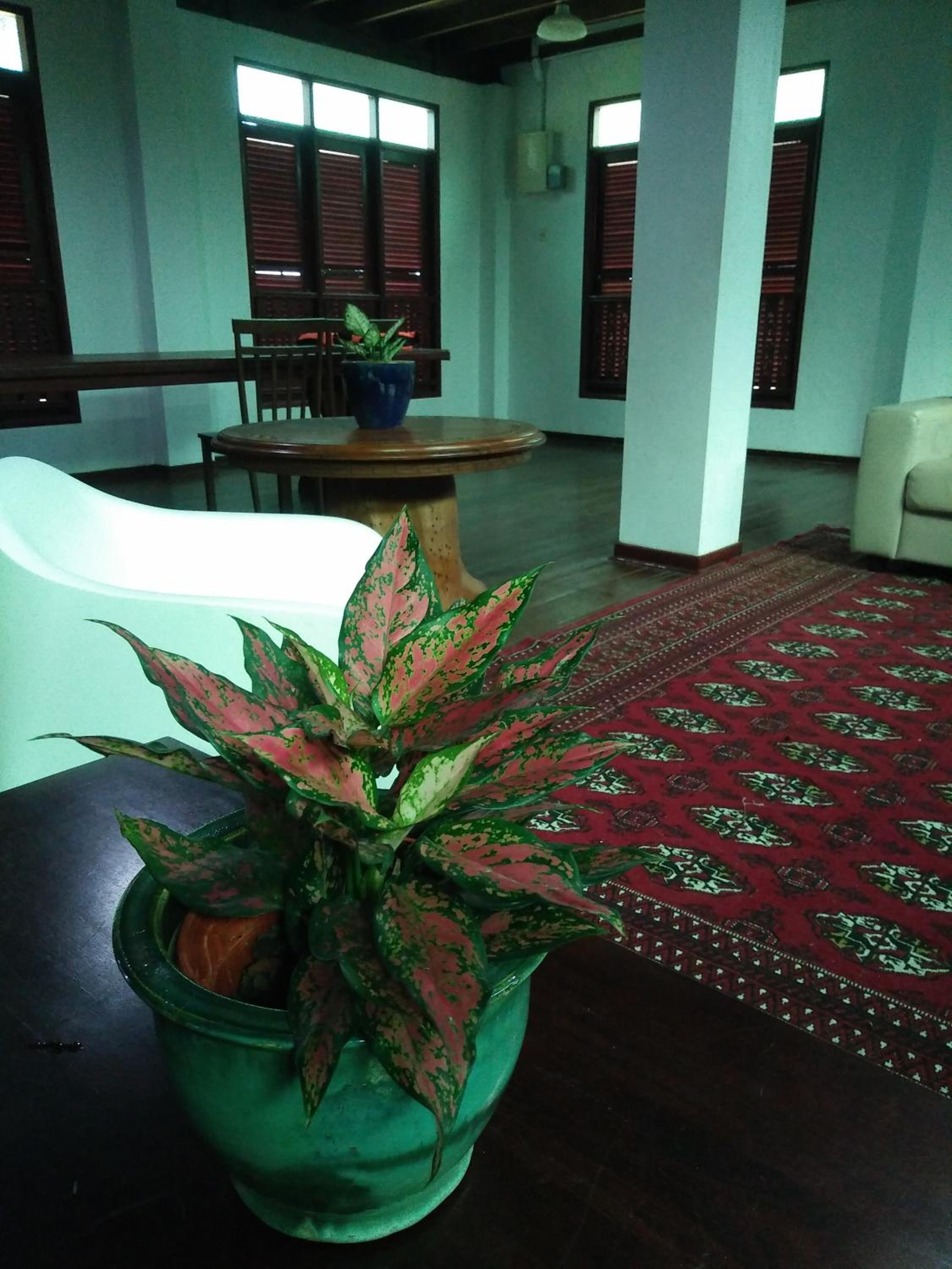 thesanctuary@telagapapan photo 5