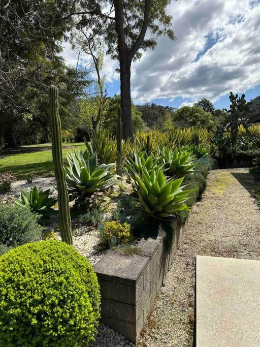 Sibbel House- Luxurious Mid-Century Modern Home, Yarra Valley